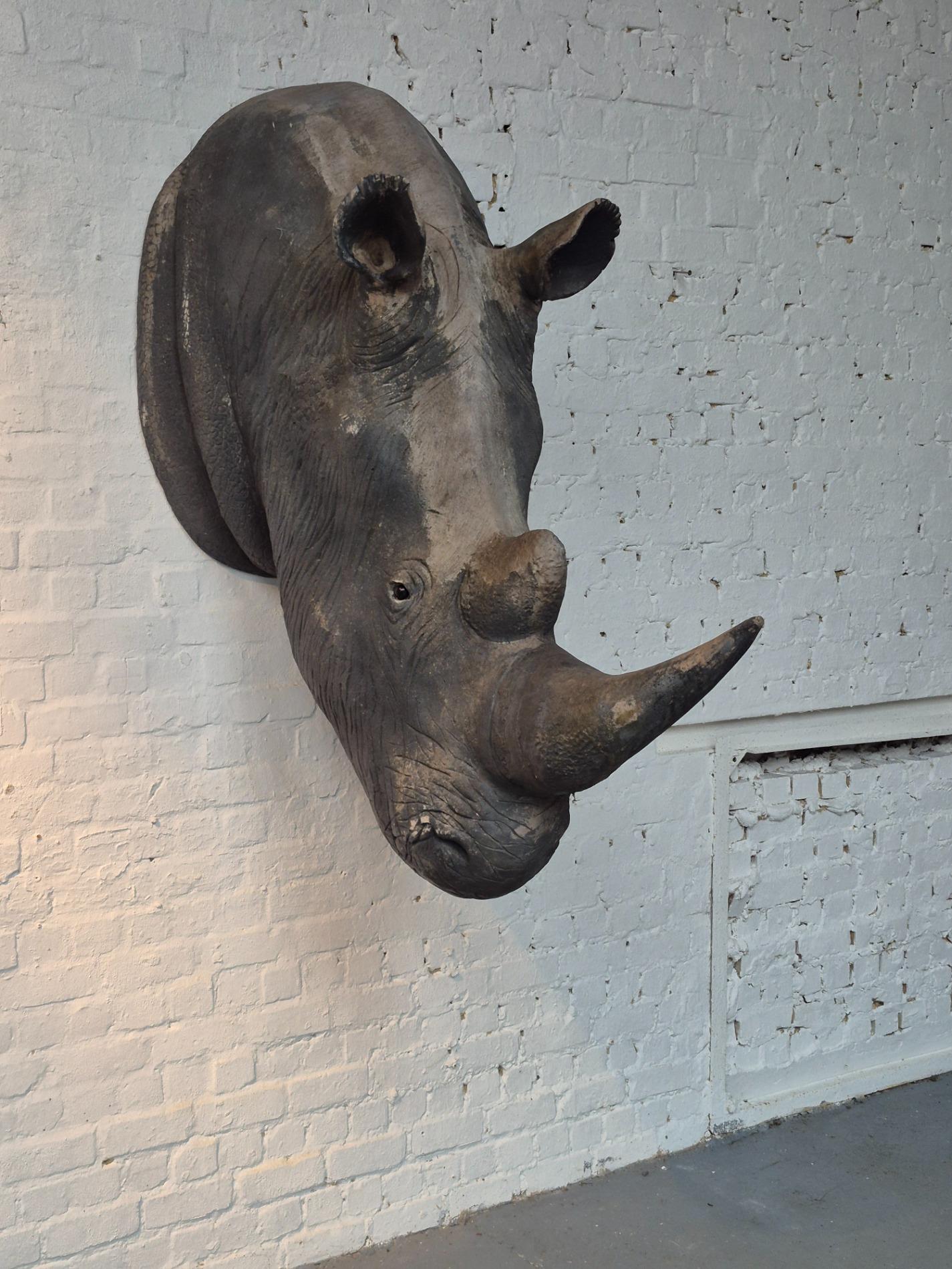 Lifesize old Rhino sculpture