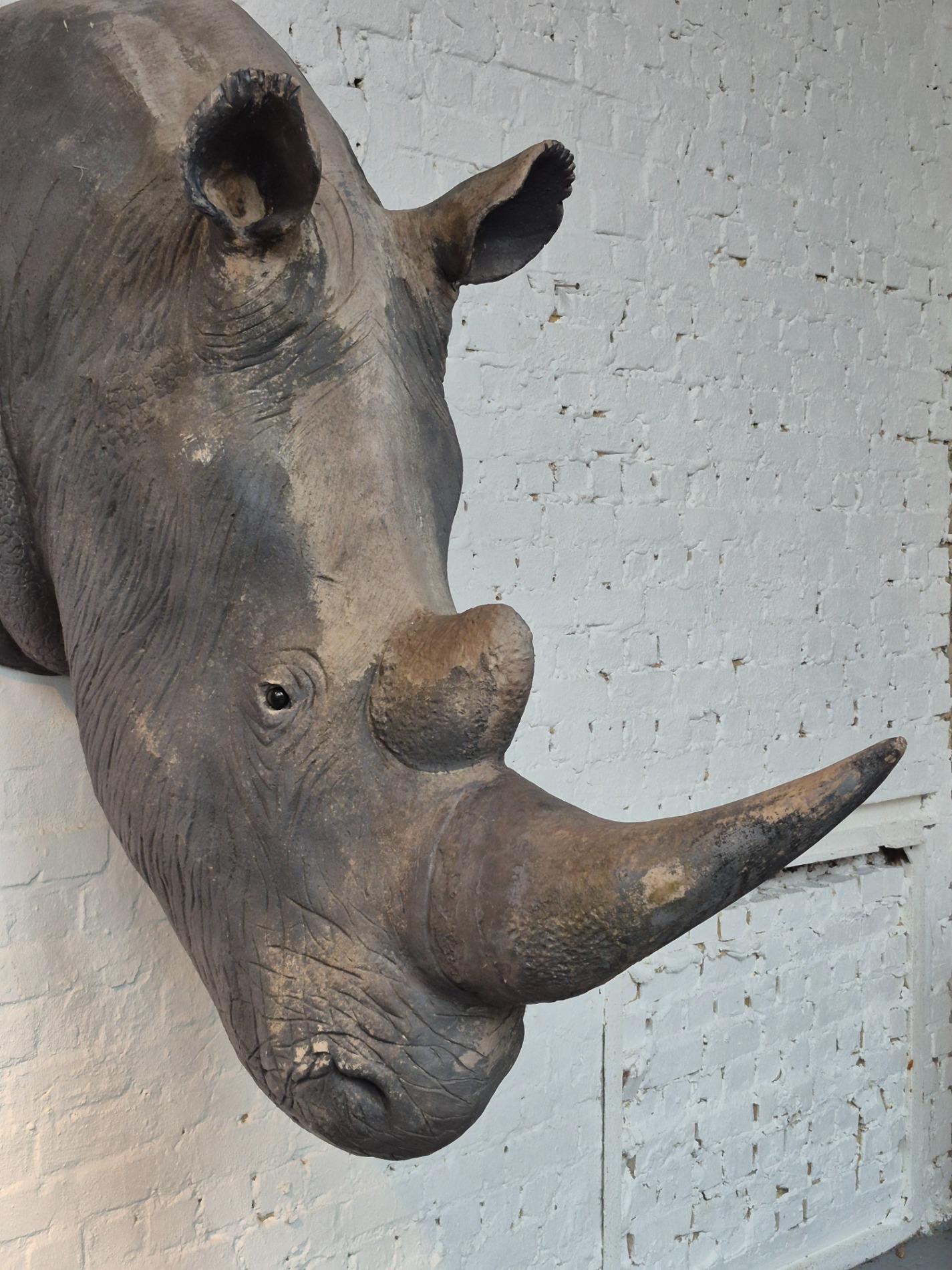 Lifesize old Rhino sculpture