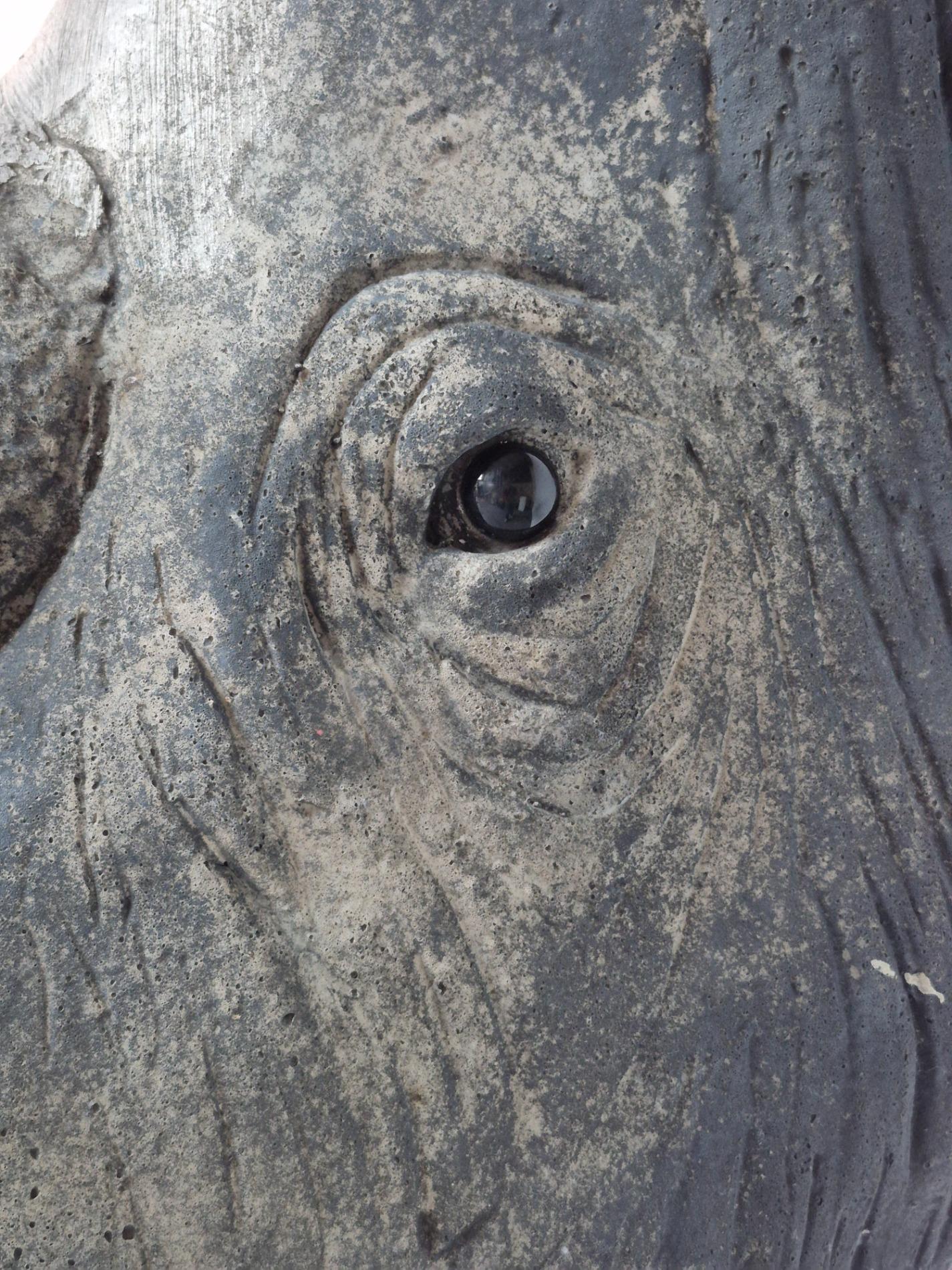 Lifesize old Rhino sculpture