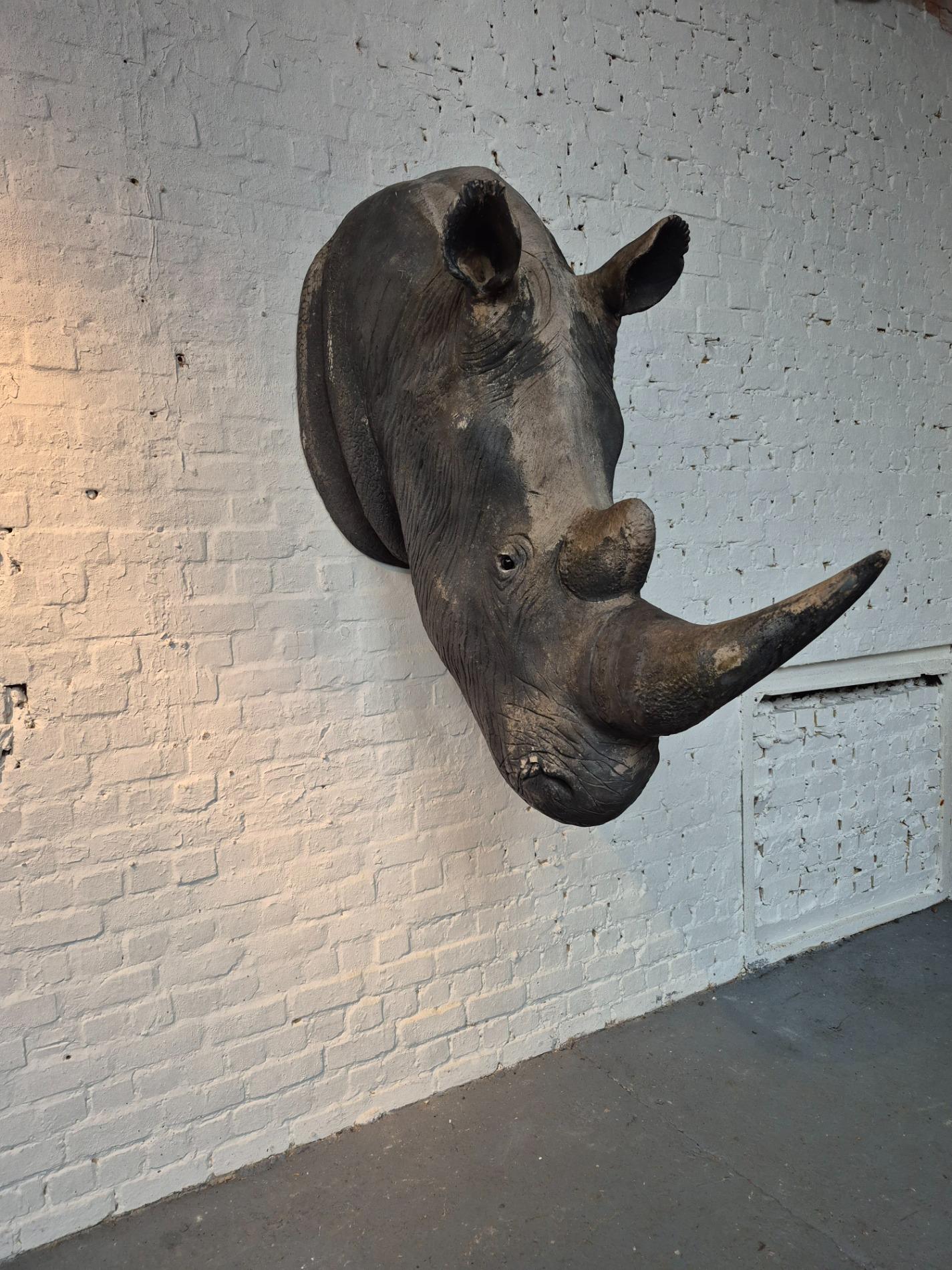 Lifesize old Rhino sculpture