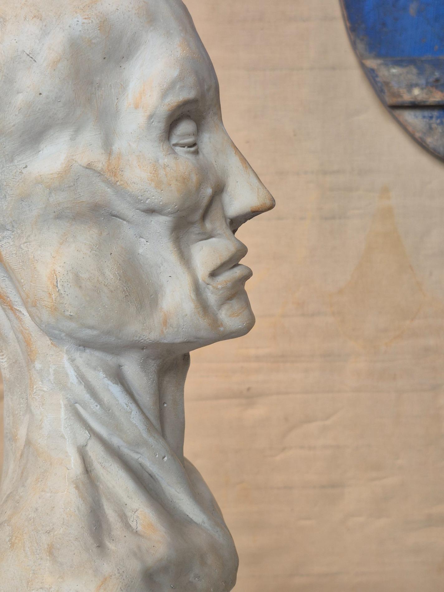 Vintage plaster ecorche bust