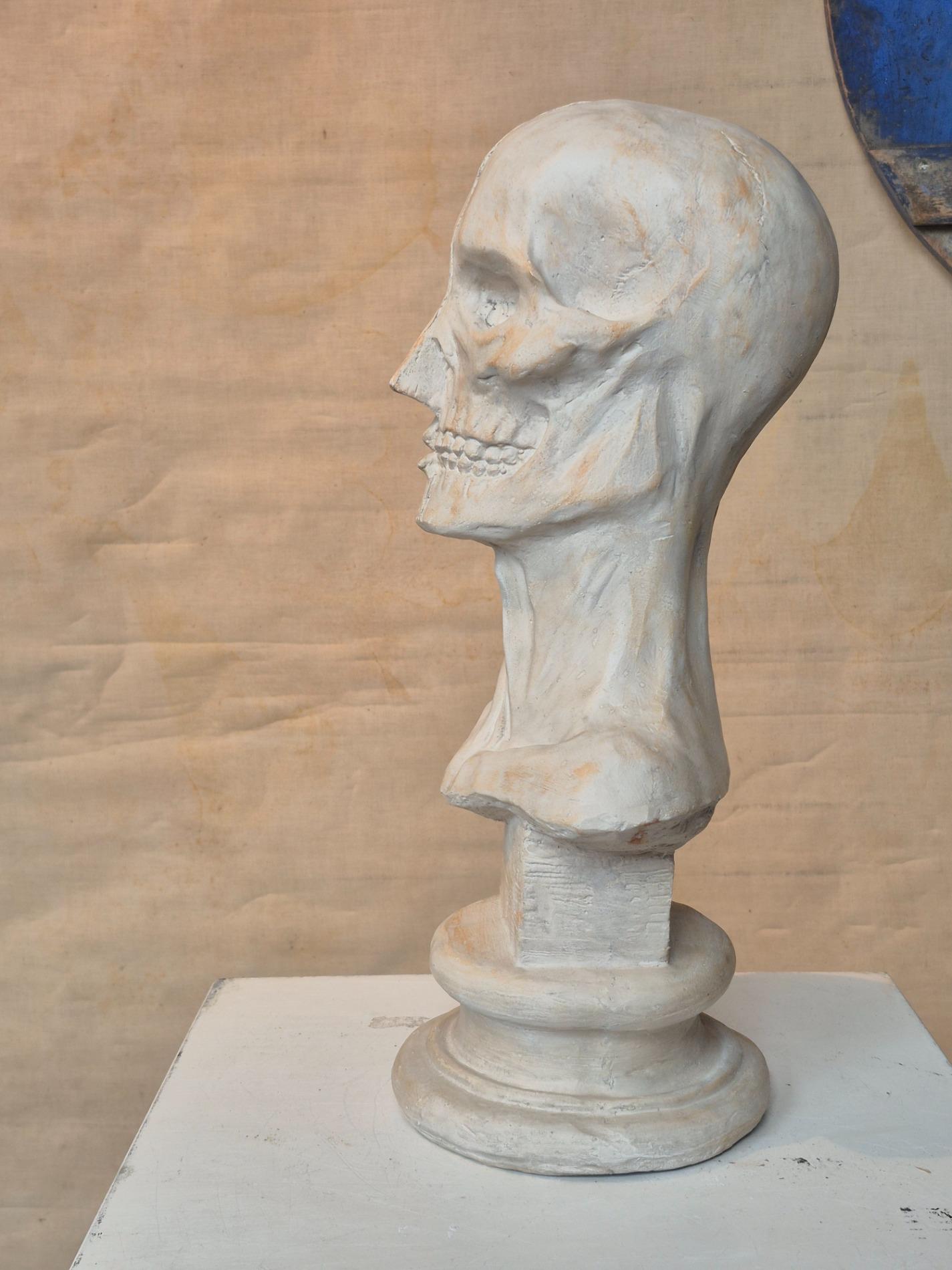 Vintage plaster ecorche bust