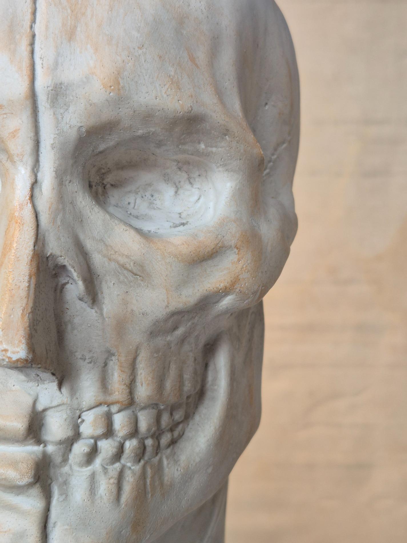 Vintage plaster ecorche bust