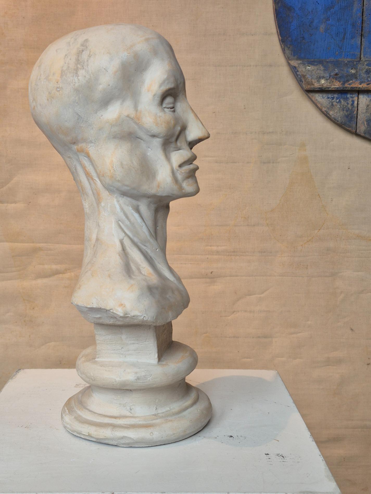 Vintage plaster ecorche bust