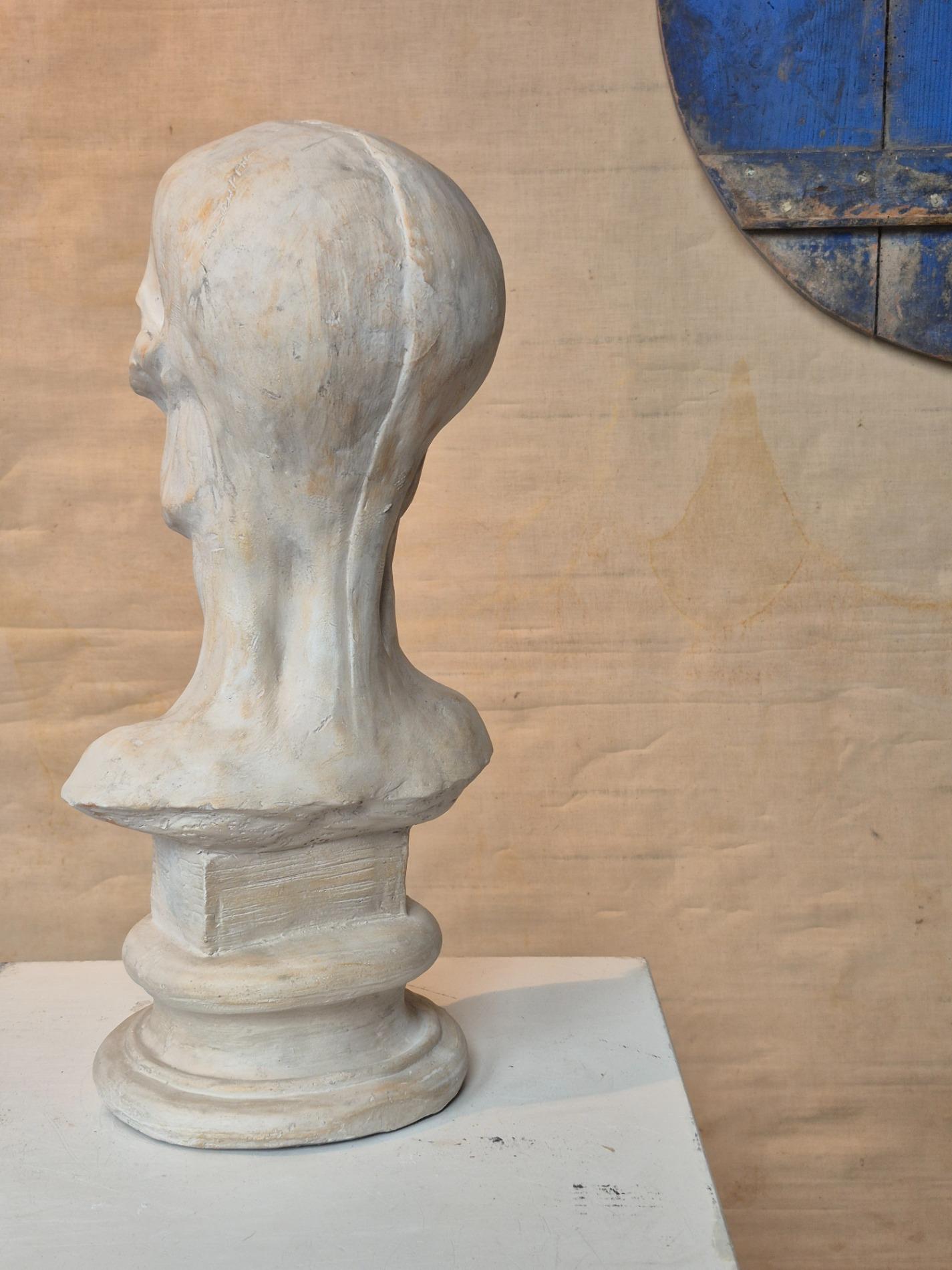 Vintage plaster ecorche bust