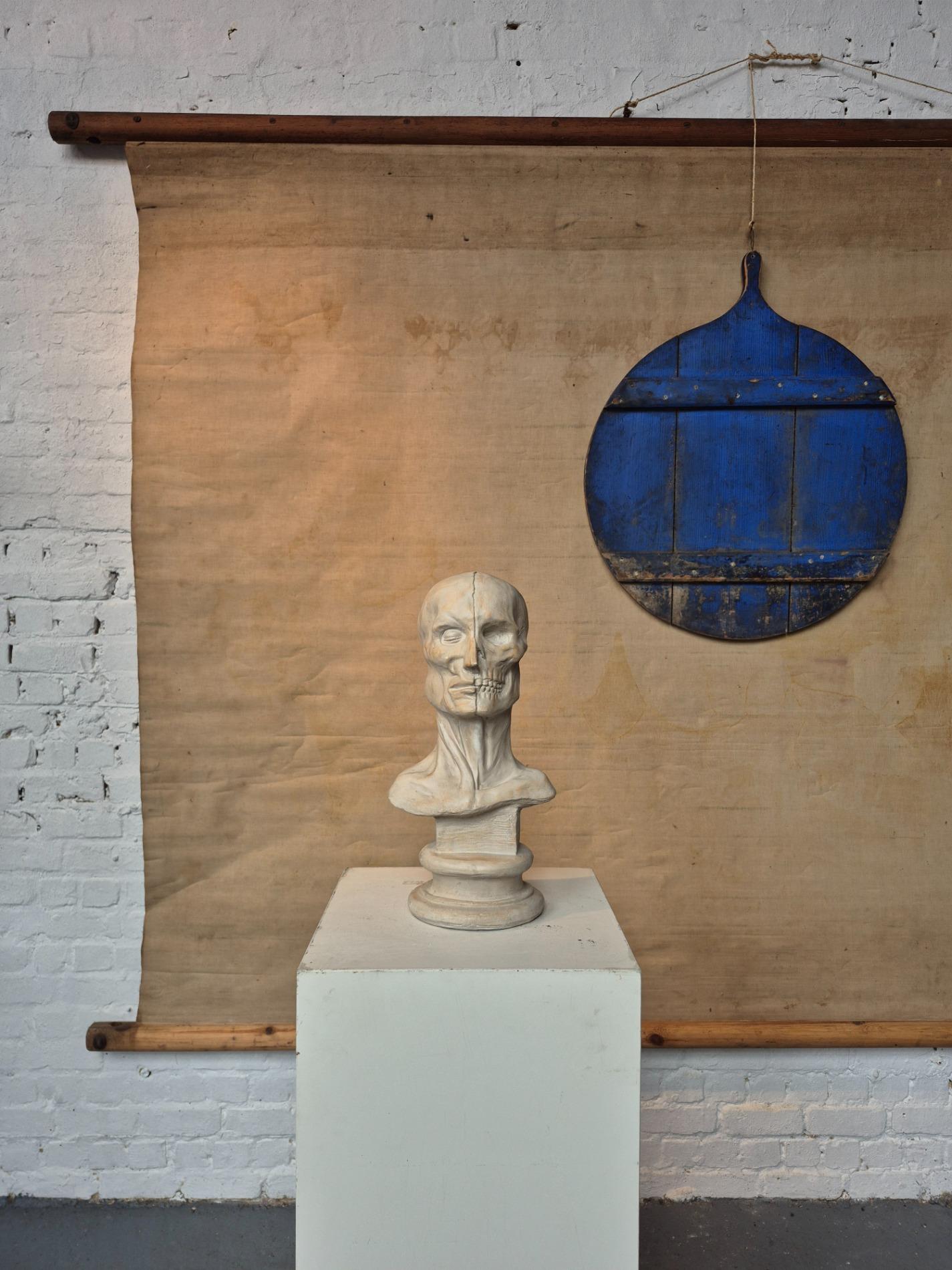 Vintage plaster ecorche bust